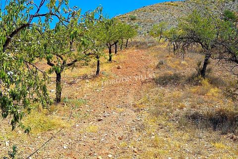 Villa i Cantoria, Almeria, Cantoria - € 89.900 | Ref: 29959 - foto 34
