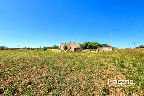 Masia a Manacor, Mallorca - foto 1