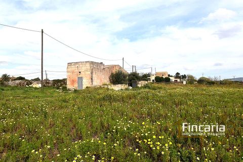 Masia a Manacor, Mallorca - foto 2