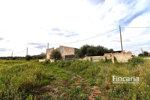 Masia a Manacor, Mallorca - foto 4