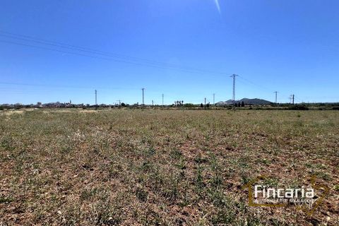 Landejendom i Manacor, Mallorca, Manacor - € 169.000 | Ref: FM-2077 - foto 6
