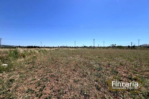 Landejendom i Manacor, Mallorca, Manacor - € 169.000 | Ref: FM-2077 - foto 7