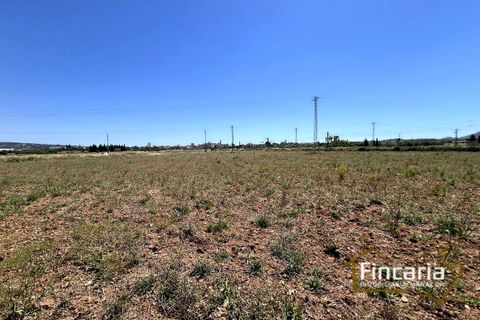 Landejendom i Manacor, Mallorca, Manacor - € 169.000 | Ref: FM-2077 - foto 8