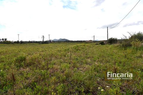 Landejendom i Manacor, Mallorca, Manacor - € 169.000 | Ref: FM-2077 - foto 9