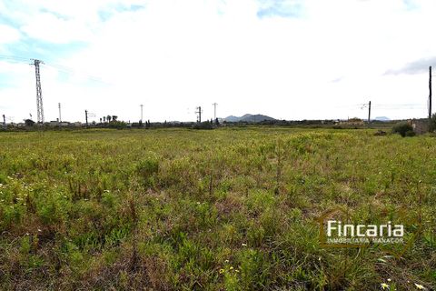 Landejendom i Manacor, Mallorca, Manacor - € 169.000 | Ref: FM-2077 - foto 10