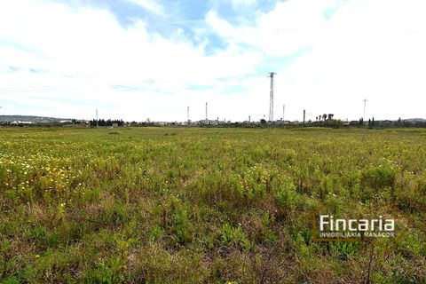 Landejendom i Manacor, Mallorca, Manacor - € 169.000 | Ref: FM-2077 - foto 11