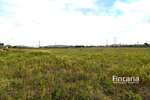 Landejendom i Manacor, Mallorca, Manacor - € 169.000 | Ref: FM-2077 - foto 12