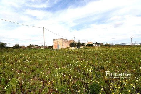Landejendom i Manacor, Mallorca, Manacor - € 169.000 | Ref: FM-2077 - foto 13
