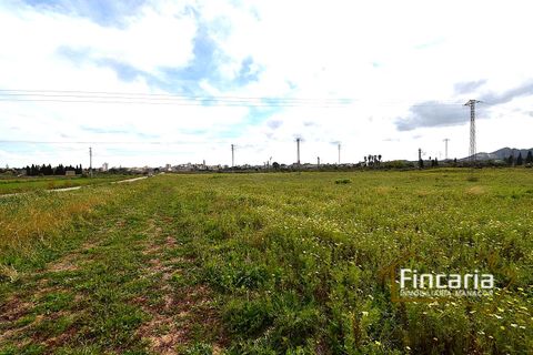 Landejendom i Manacor, Mallorca, Manacor - € 169.000 | Ref: FM-2077 - foto 15