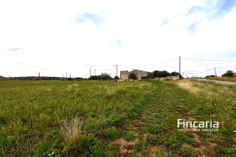 Landejendom i Manacor, Mallorca, Manacor - € 169.000 | Ref: FM-2077 - foto 16