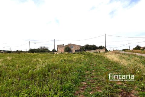 Landejendom i Manacor, Mallorca, Manacor - € 169.000 | Ref: FM-2077 - foto 18