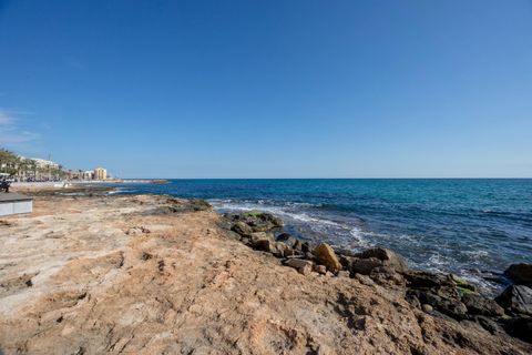 Leilighet i Torrevieja, Alicante, Torrevieja - € 330 000 | Ref: MI13-918-3 - foto 6
