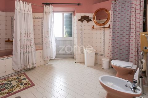 Villa a Alijo, Vila Real, Alijo - € 230.000 | Ref: ZMPT587595 - foto 32