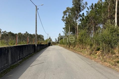 Helårsgrund i Ovar, Aveiro, Ovar - € 319.260 | Ref: ZMPT587372 - foto 4