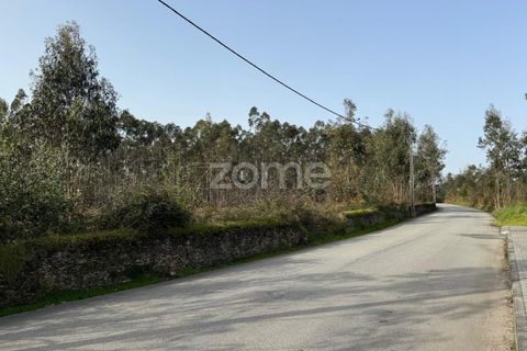 Helårsgrund i Ovar, Aveiro, Ovar - € 319.260 | Ref: ZMPT587372 - foto 5