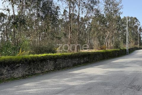 Helårsgrund i Ovar, Aveiro, Ovar - € 319.260 | Ref: ZMPT587372 - foto 6