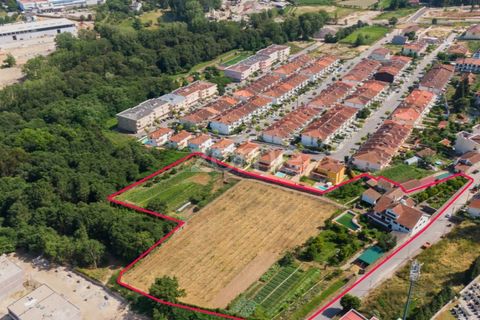 Farm i Braga, Braga, Braga - € 1.000.000 | Ref: ZMPT550727 - foto 2