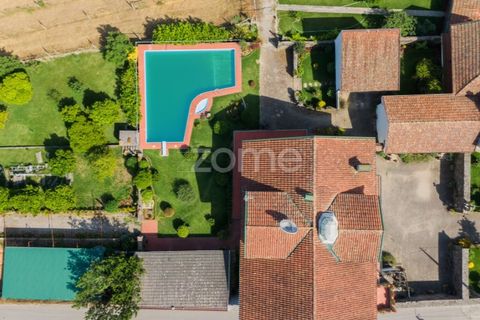 Farm i Braga, Braga, Braga - € 1.000.000 | Ref: ZMPT550727 - foto 5