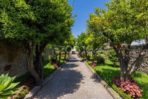 Farm i Braga, Braga, Braga - € 1.000.000 | Ref: ZMPT550727 - foto 7