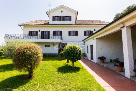 Farm i Braga, Braga, Braga - € 1.000.000 | Ref: ZMPT550727 - foto 10