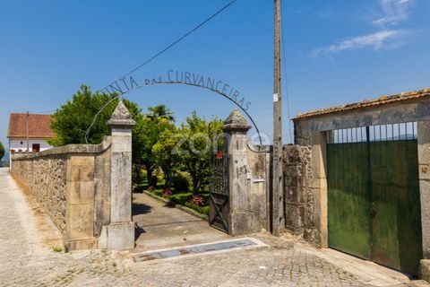 Farm i Braga, Braga, Braga - € 1.000.000 | Ref: ZMPT550727 - foto 3