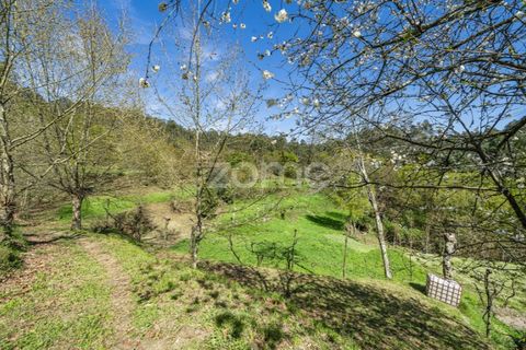 Helårsgrund i Guimaraes, Braga, Guimaraes - € 99.900 | Ref: ZMPT587614 - foto 4