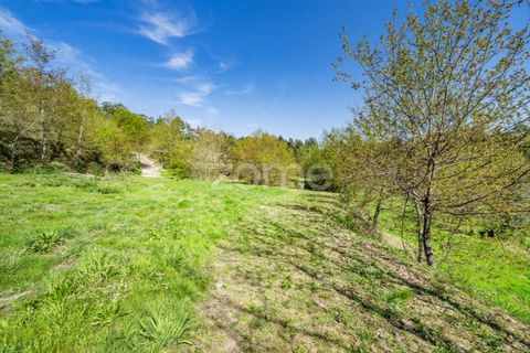 Helårsgrund i Guimaraes, Braga, Guimaraes - € 99.900 | Ref: ZMPT587614 - foto 7
