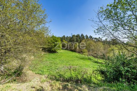 Helårsgrund i Guimaraes, Braga, Guimaraes - € 99.900 | Ref: ZMPT587614 - foto 9
