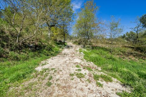 Helårsgrund i Guimaraes, Braga, Guimaraes - € 99.900 | Ref: ZMPT587614 - foto 10