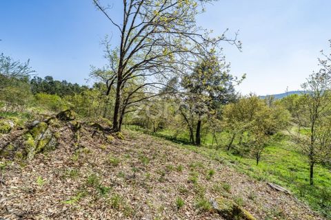 Helårsgrund i Guimaraes, Braga, Guimaraes - € 99.900 | Ref: ZMPT587614 - foto 11
