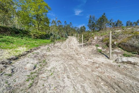 Helårsgrund i Guimaraes, Braga, Guimaraes - € 99.900 | Ref: ZMPT587614 - foto 12