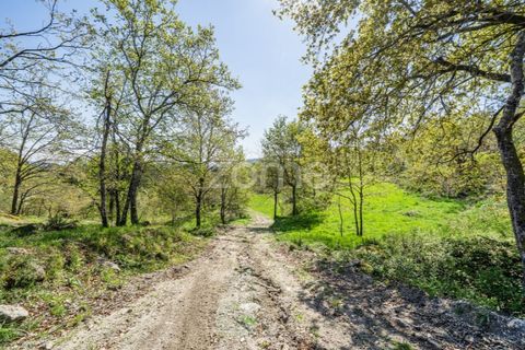 Helårsgrund i Guimaraes, Braga, Guimaraes - € 99.900 | Ref: ZMPT587614 - foto 13