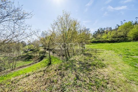 Helårsgrund i Guimaraes, Braga, Guimaraes - € 99.900 | Ref: ZMPT587614 - foto 14
