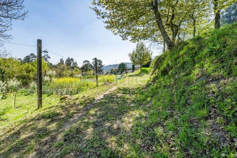 Helårsgrund i Guimaraes, Braga, Guimaraes - € 99.900 | Ref: ZMPT587614 - foto 16
