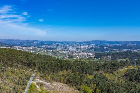 Helårsgrund i Guimaraes, Braga, Guimaraes - € 99.900 | Ref: ZMPT587614 - foto 22