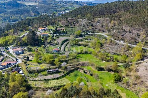 Helårsgrund i Guimaraes, Braga, Guimaraes - € 99.900 | Ref: ZMPT587614 - foto 26