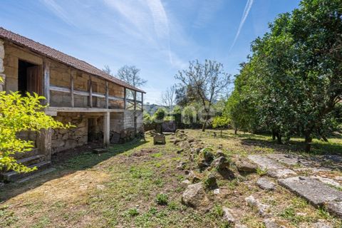 Villa i Cabeceiras de Basto, Braga, Cabeceiras de Basto - € 180.000 | Ref: ZMPT587569 - foto 39