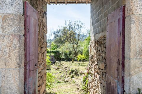 Villa i Cabeceiras de Basto, Braga, Cabeceiras de Basto - € 180.000 | Ref: ZMPT587569 - foto 41