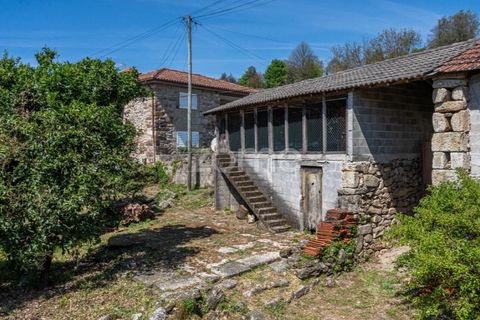 Villa i Cabeceiras de Basto, Braga, Cabeceiras de Basto - € 180.000 | Ref: ZMPT587569 - foto 42
