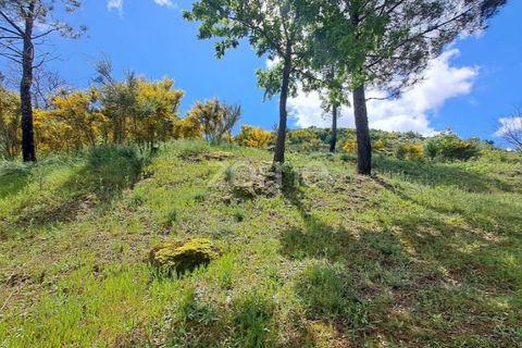 Villa i Seia, Guarda, Seia - € 107.000 | Ref: ZMPT578961 - foto 20