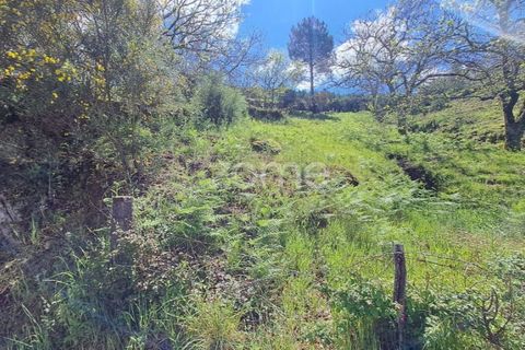 Villa i Seia, Guarda, Seia - € 107.000 | Ref: ZMPT578961 - foto 21