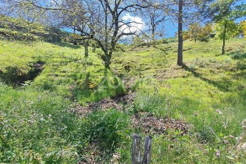 Villa i Seia, Guarda, Seia - € 107.000 | Ref: ZMPT578961 - foto 22
