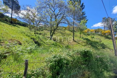 Villa i Seia, Guarda, Seia - € 107.000 | Ref: ZMPT578961 - foto 23