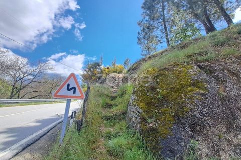 Villa i Seia, Guarda, Seia - € 107.000 | Ref: ZMPT578961 - foto 24