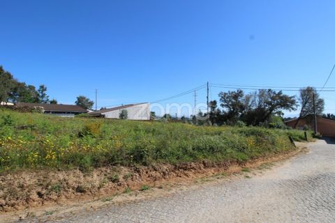 Helårsgrund i Barcelos, Braga, Barcelos - € 105.000 | Ref: ZMPT587377 - foto 5