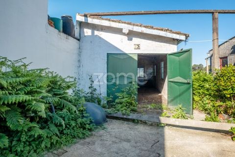 Villa a Pedroucos, Porto, Pedroucos - € 210.000 | Ref: ZMPT587552 - foto 21