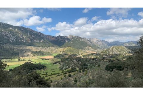 Landejendom i Bunyola, Mallorca, Bunyola - € 2.400.000 | Ref: 5603 - foto 19