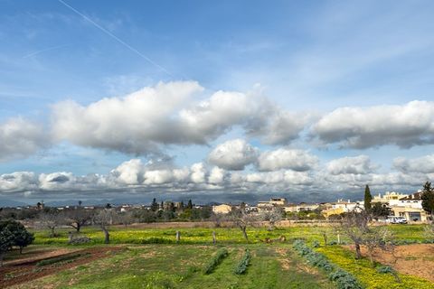 Villa a Algaida, Mallorca, Algaida - € 645.000 | Ref: 6993 - foto 19
