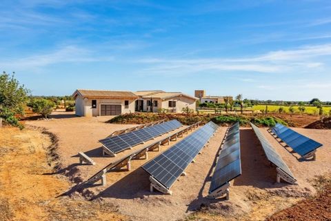Masia a Campos, Mallorca, Campos - € 2.890.000 | Ref: 6506 - foto 13