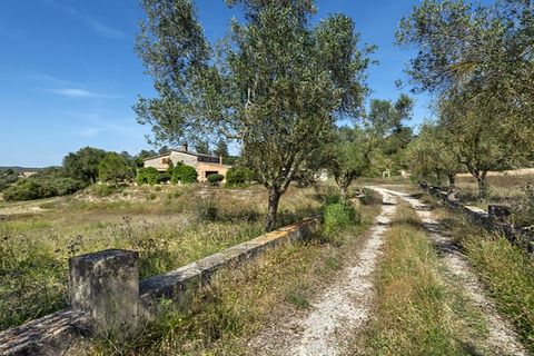 Landejendom i Sant Joan, Mallorca, Sant Joan - € 750.000 | Ref: 6299 - foto 4